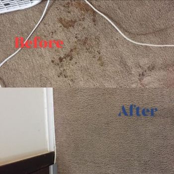 Carpet Stain Removal in Mashantucket