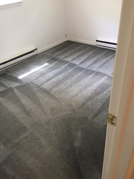 Carpet Cleaning in Norwich, CT (1)