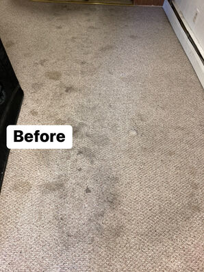 Before & After Carpet Cleaning in Storrs Mansfield, CT (1)