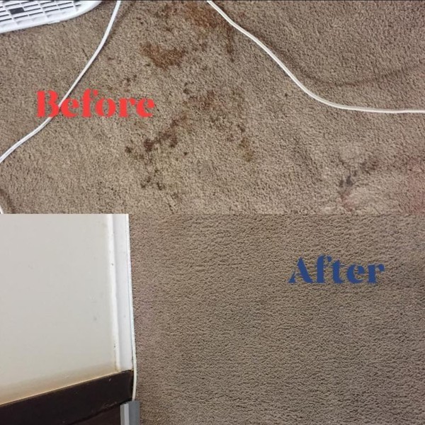 Before & After Carpet Stain Removal in Norwich, CT (1)