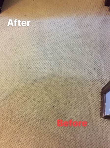 Before & After Carpet Cleaning in Norwich, CT (1)